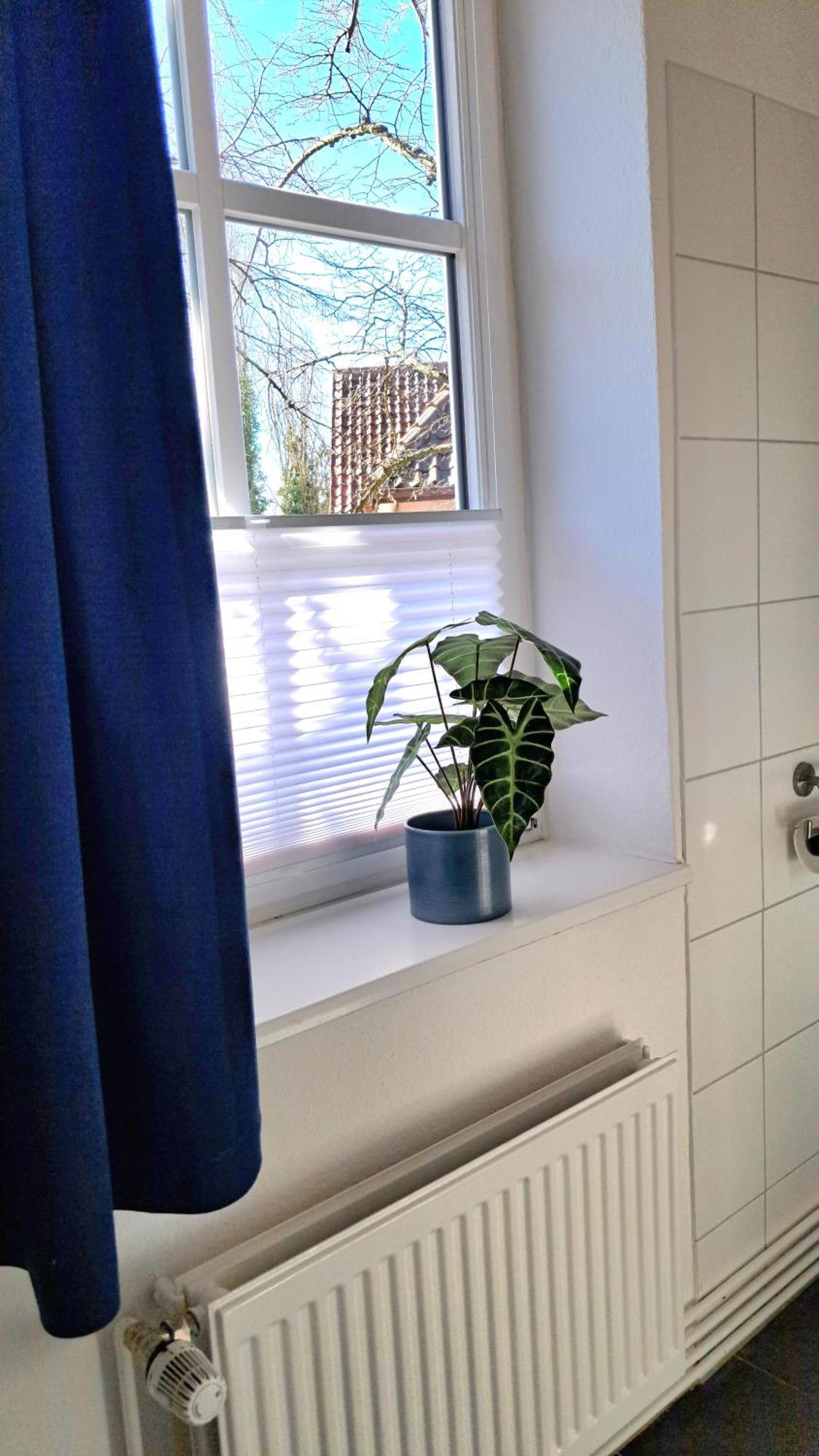 Apartment Brauner Hirsch Целе Екстериор снимка